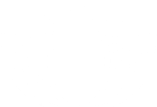 Lotus Flower